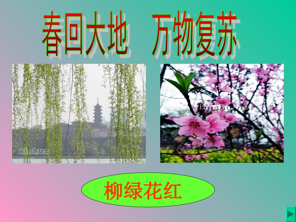 2春雨的色彩(1)_第3页