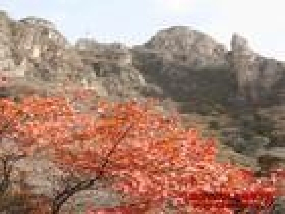 狼牙山五壮士_第2页