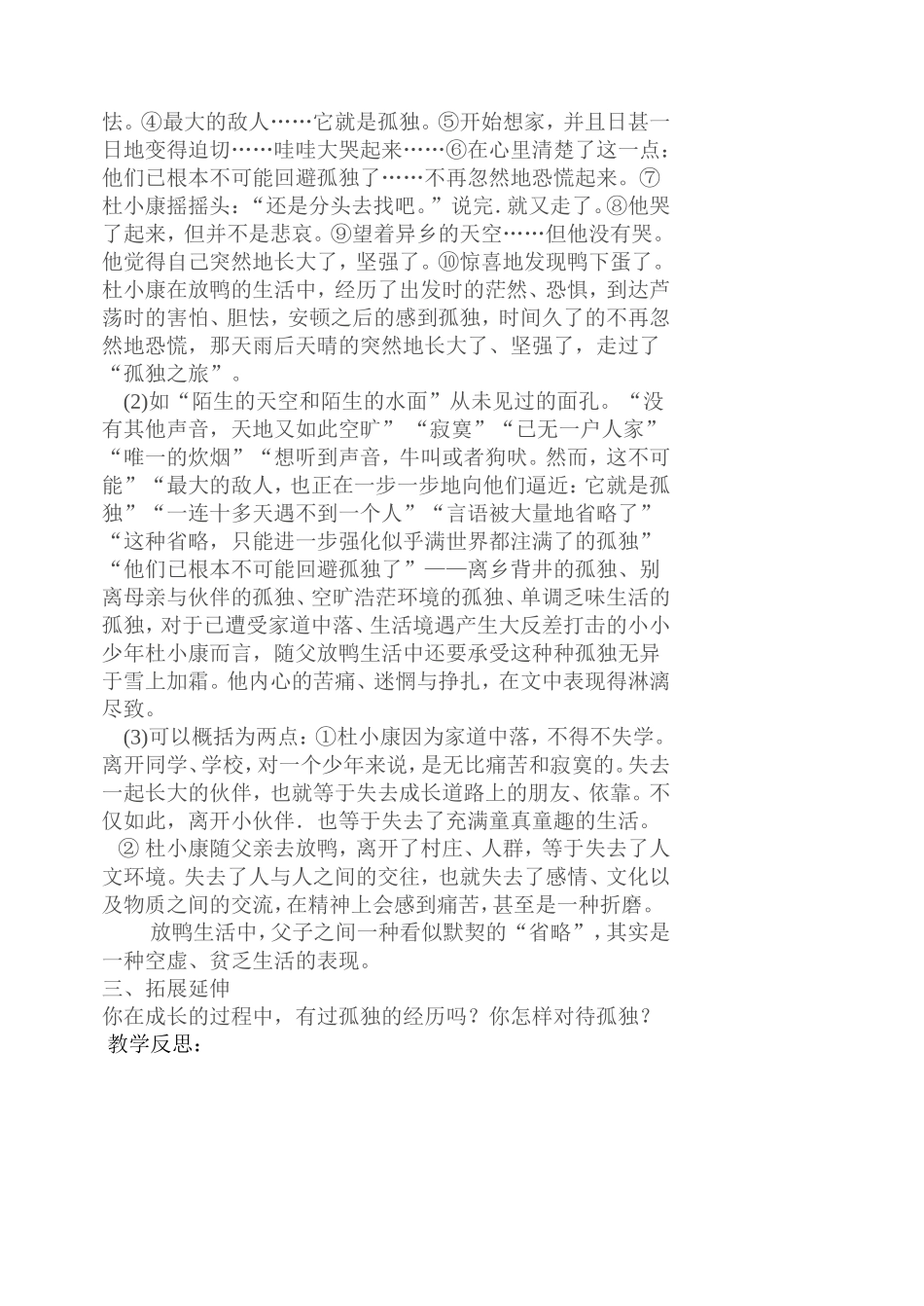 《孤独之旅》_第2页