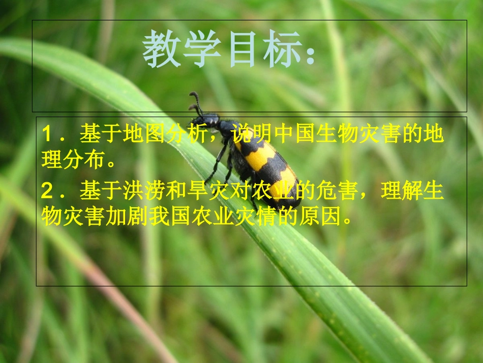 中国的生物灾害课件_第2页