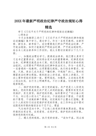 20XX年最新严明政治纪律严守政治规矩心得精选 (3)