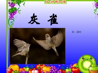 灰雀PPT精品课件