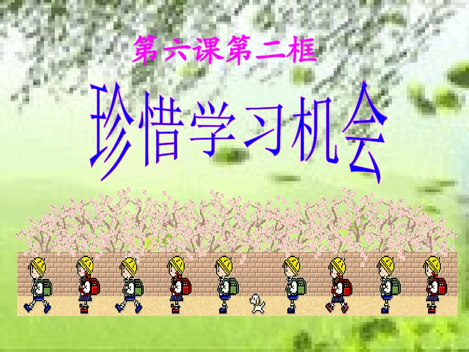 人教版八下第三单元第六课第二框+珍惜学习机会(34张PPT)_第1页