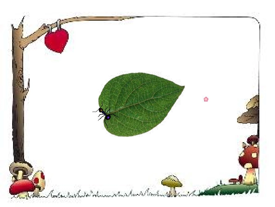 94认识周长_第2页