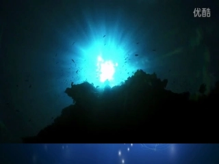 海洋是未来的粮仓