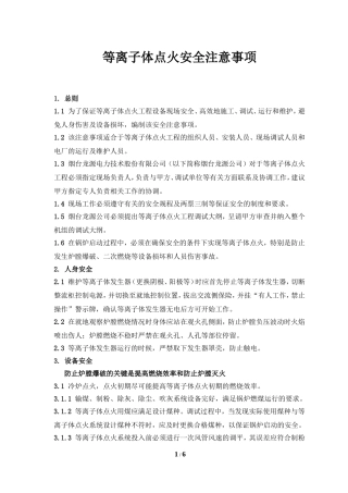 等离子体点火安全注意事项20090108