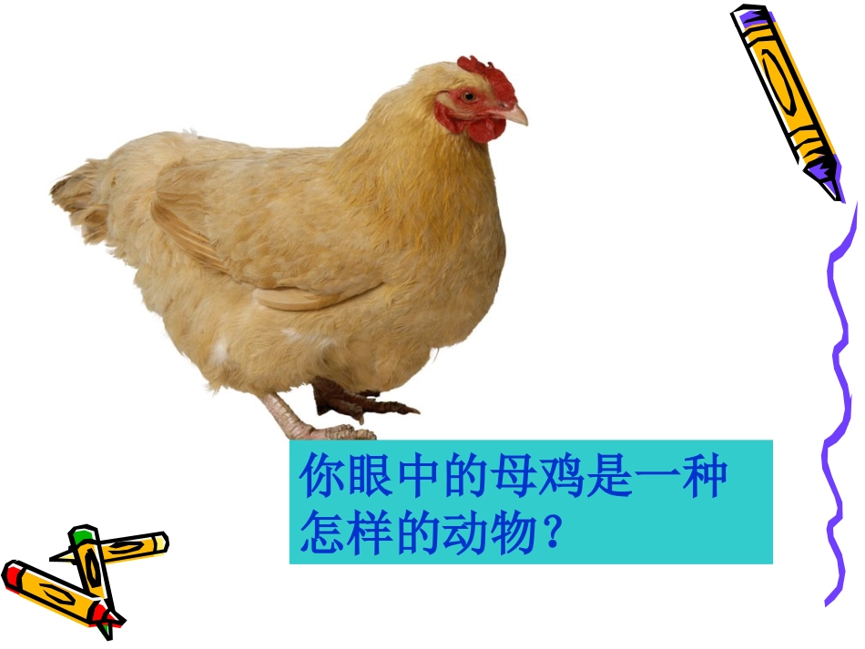 《母鸡》ppt1_第2页