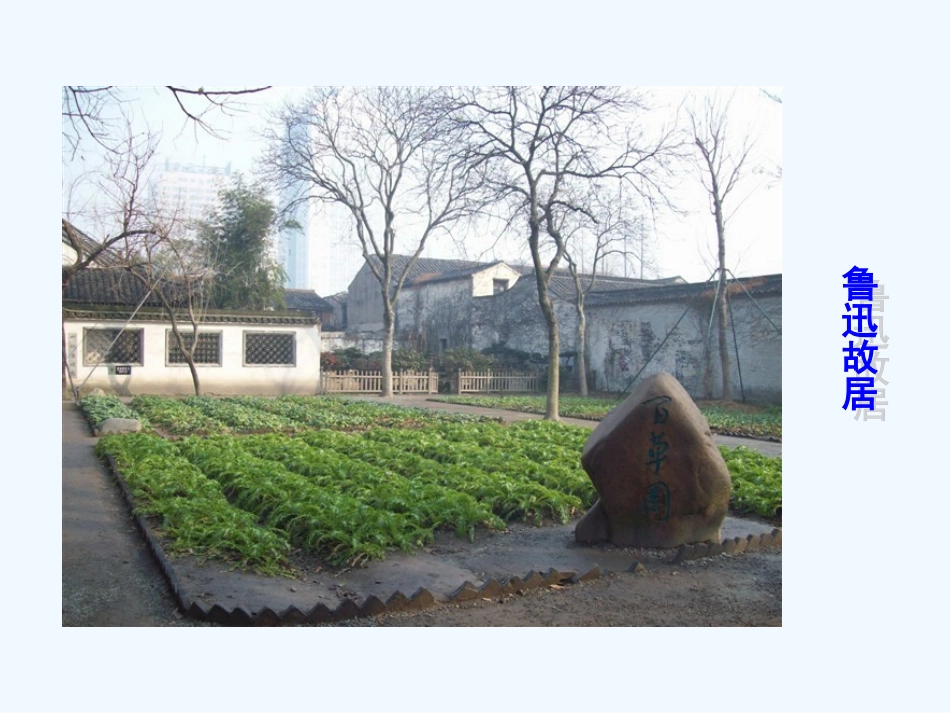 (部编)初中语文人教2011课标版七年级下册阿长《山海经》_第3页