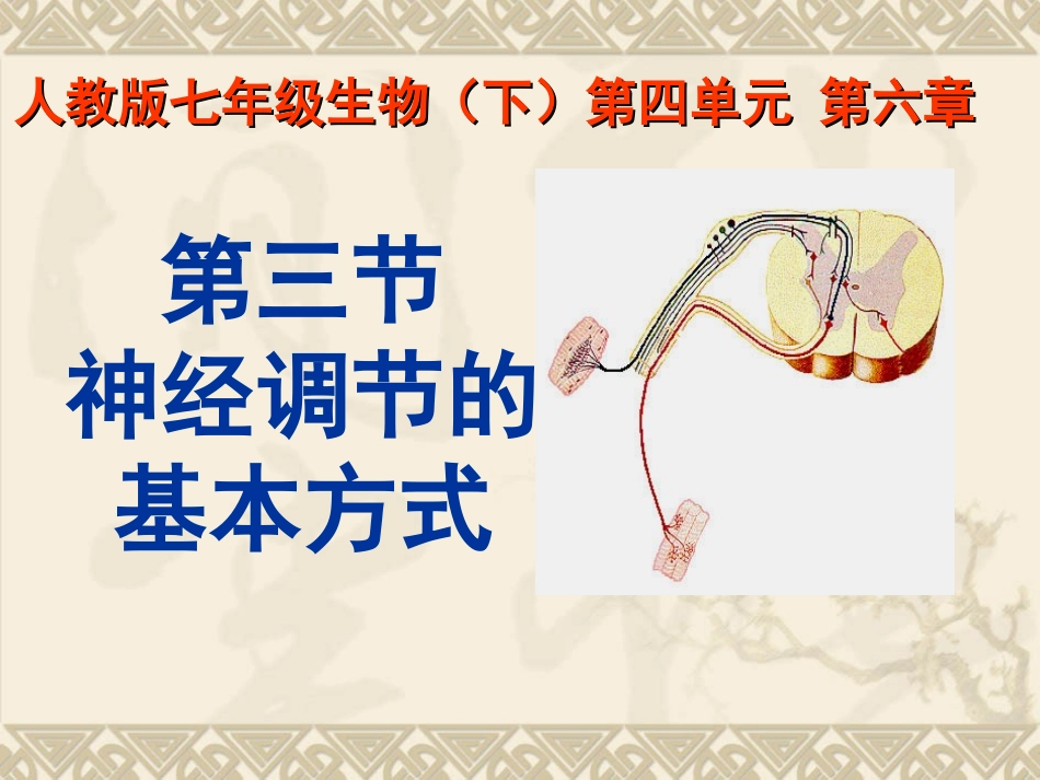 6.3[神经调节的基本方式]课件-2_第1页