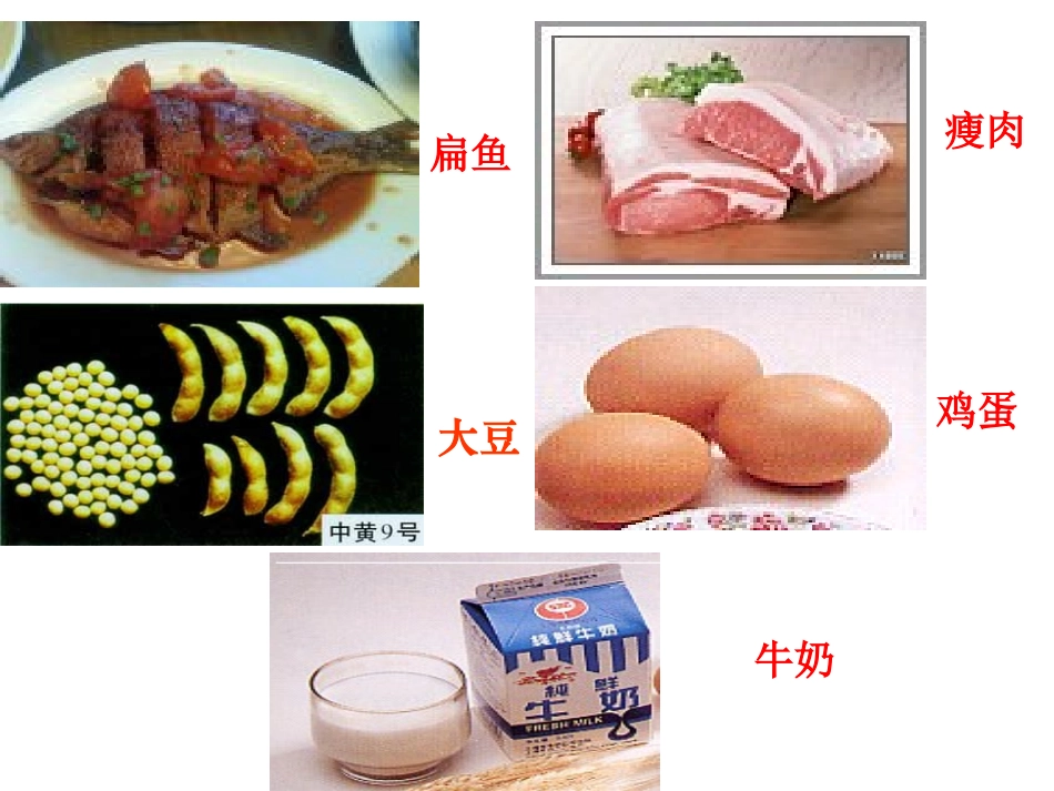 【化学】5.2《氨基酸》蛋白质课件3(苏教版选修5)_第1页