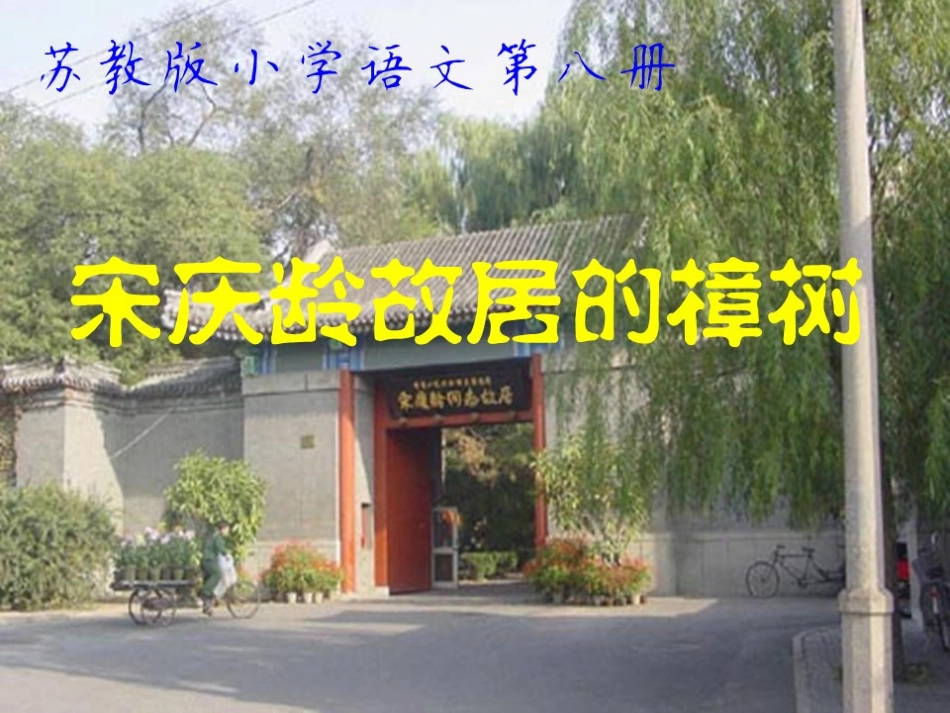 苏教版小学语文第八册《宋庆龄故居的樟树》第二课时PPT_第1页