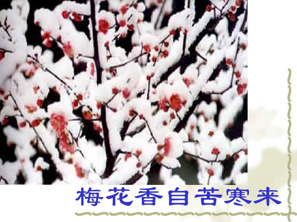 紫藤萝瀑布(第一课时)_第3页