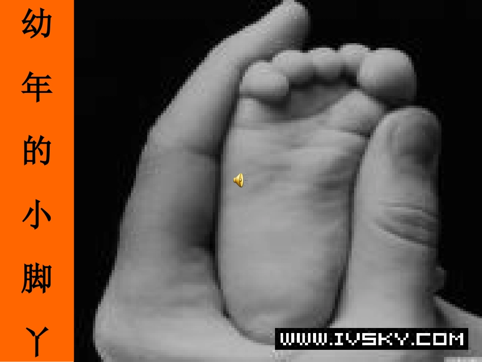 亲情（蒲公英）_第3页