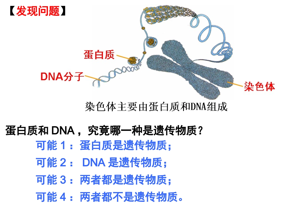 DNA是主要的遗传物质._第2页