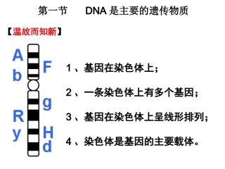 DNA是主要的遗传物质.