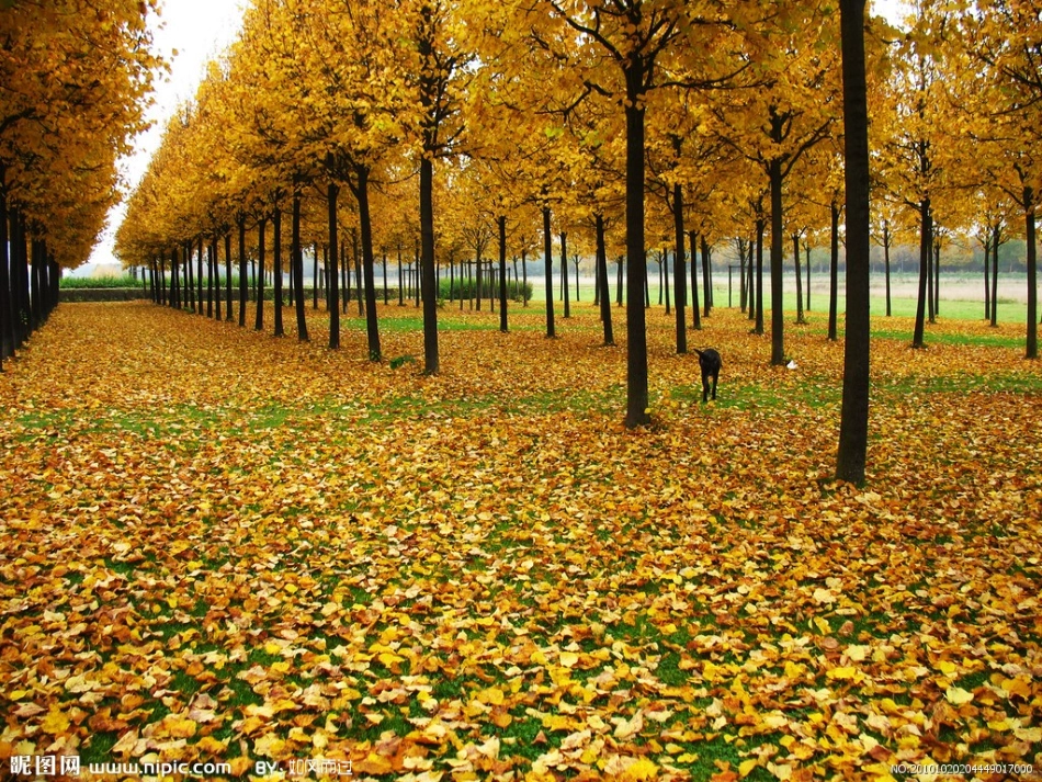 西风的话课件1_第2页