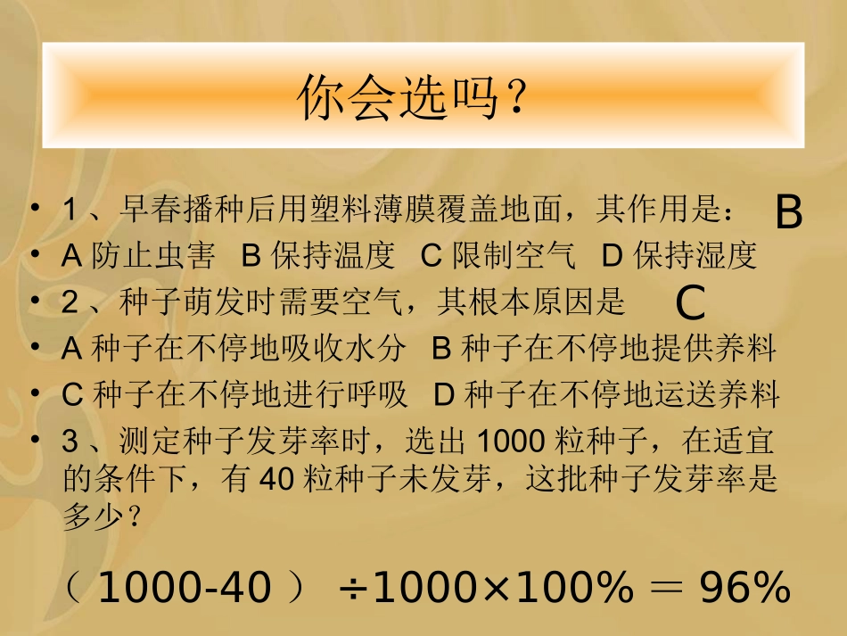 植株的生长课_第1页