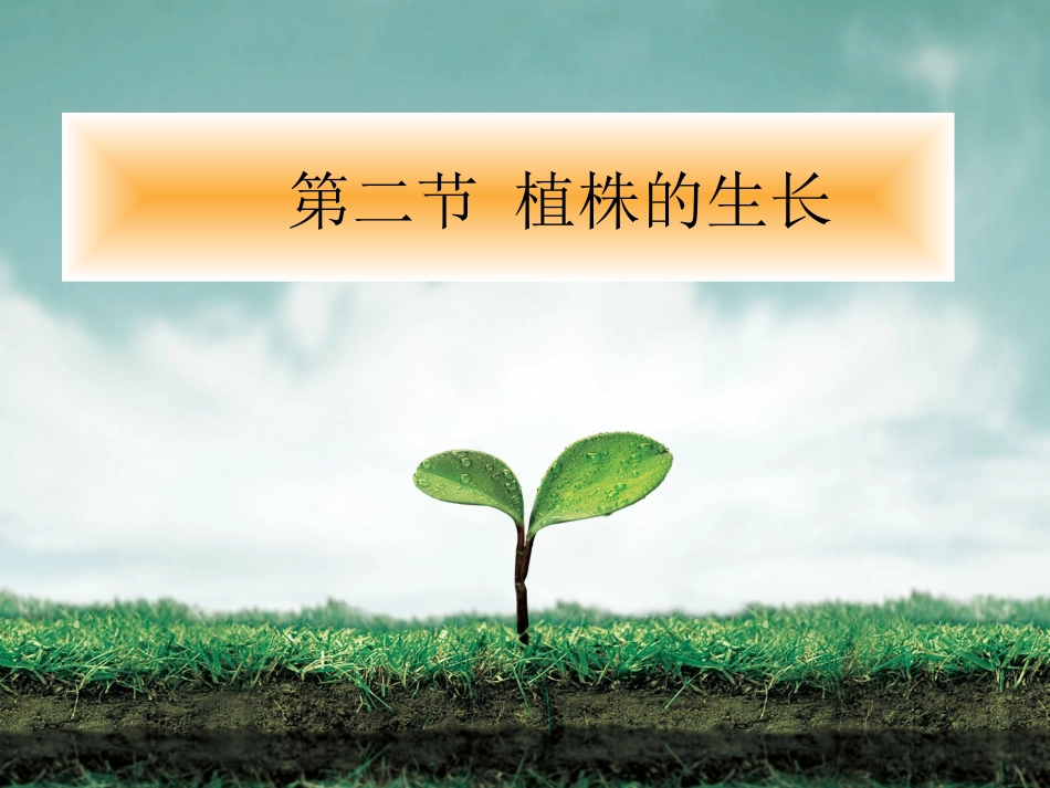 植株的生长课_第2页