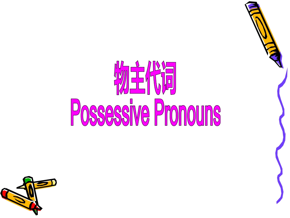 物主代词复习课件_第1页
