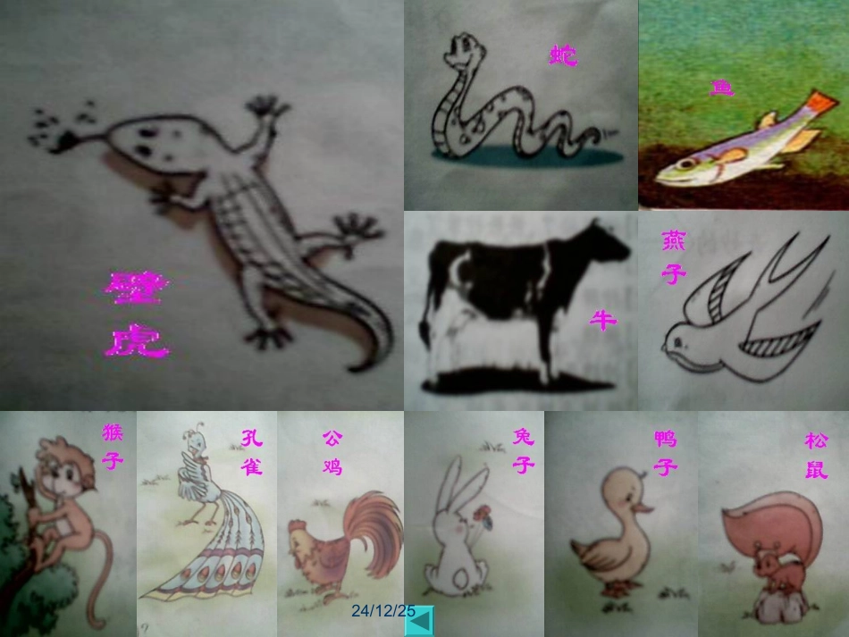 (部编)人教语文2011课标版一年级下册21《小壁虎借尾巴》-(2)_第1页