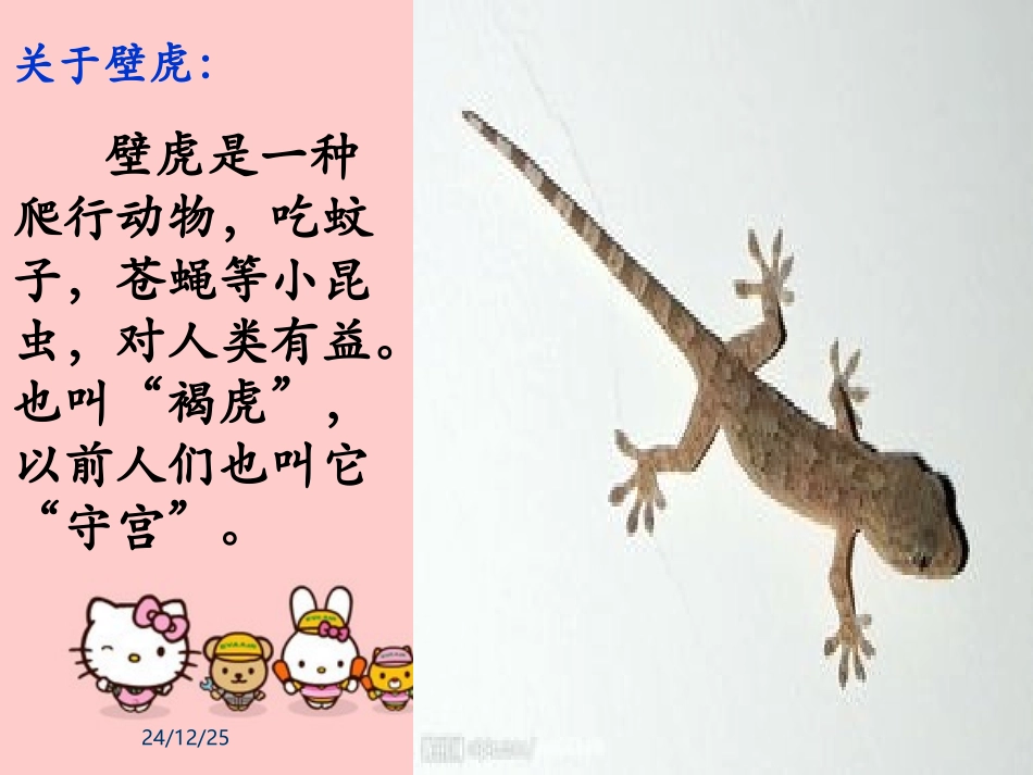 (部编)人教语文2011课标版一年级下册21《小壁虎借尾巴》-(2)_第2页