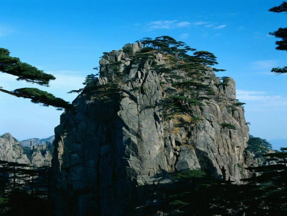 16黄山奇松ppt课件_第3页