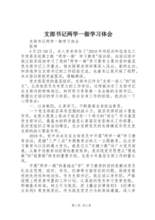 支部书记两学一做学习体会
