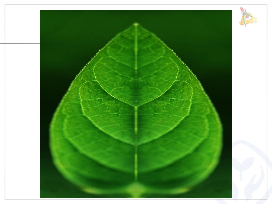 小学数学2011版本小学四年级轴对称图形-(3)_第3页