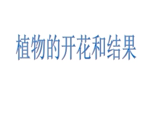 《第五节-植物的开花和结果》课件5