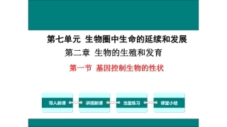 第二章第一节基因控制生物的性状第二课时