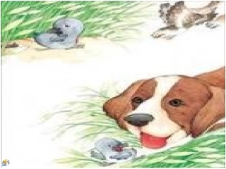 小学六年级下学期语文第15课凡卡PPT课件.ppt