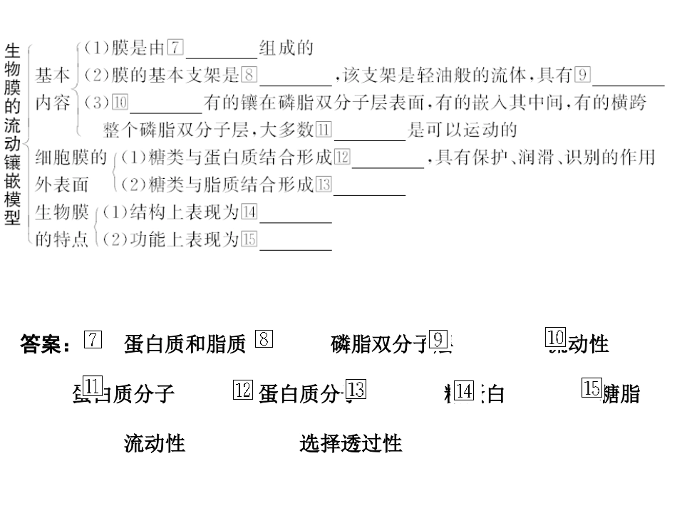 海南省2011届高三生物第一轮复习：生物膜的流动镶嵌模型、物质跨膜运输的方式(新人教版必修1)_第3页
