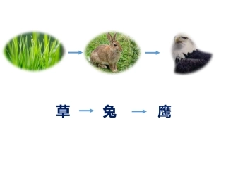生态平衡yu-ppt2016.4.9