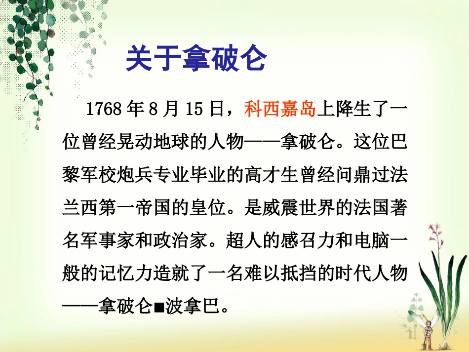 《滑铁卢之战》课件1_第2页
