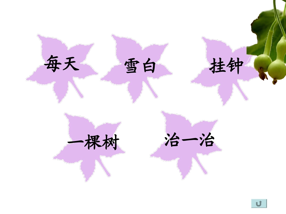 我要的是葫芦(语文)_第3页