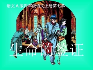 生命的签证.ppt课件