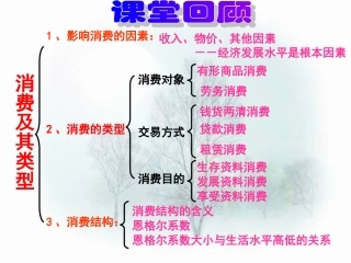 树立正确的消费观(新课改)