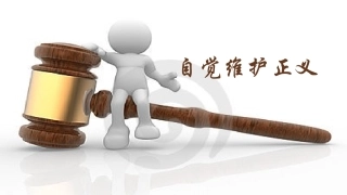 人教版初中思想品德八年级下册《自觉维护正义》课件