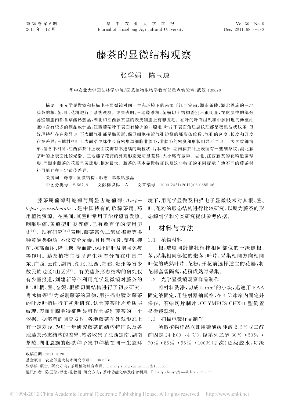 藤茶的显微结构观察__第1页
