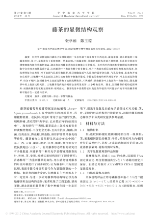 藤茶的显微结构观察_