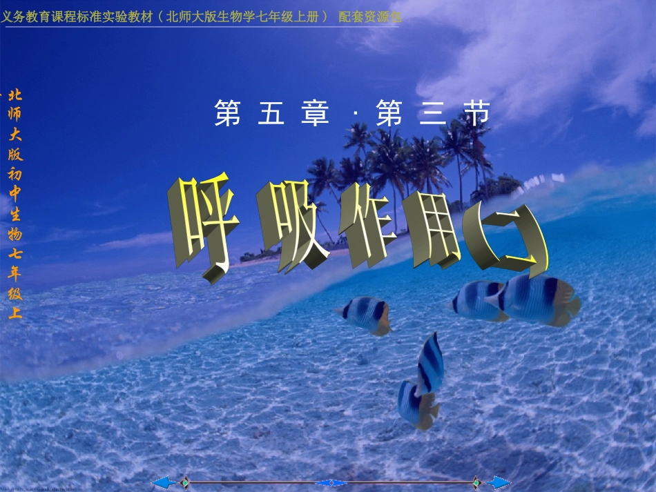 植物细胞都能进行呼吸与呼吸作用的原理_第1页