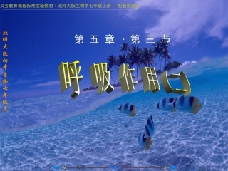 植物细胞都能进行呼吸与呼吸作用的原理