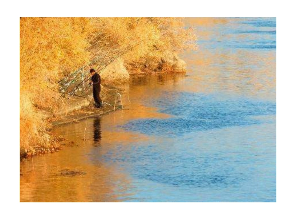 五年级语文钓鱼的启示2_第2页