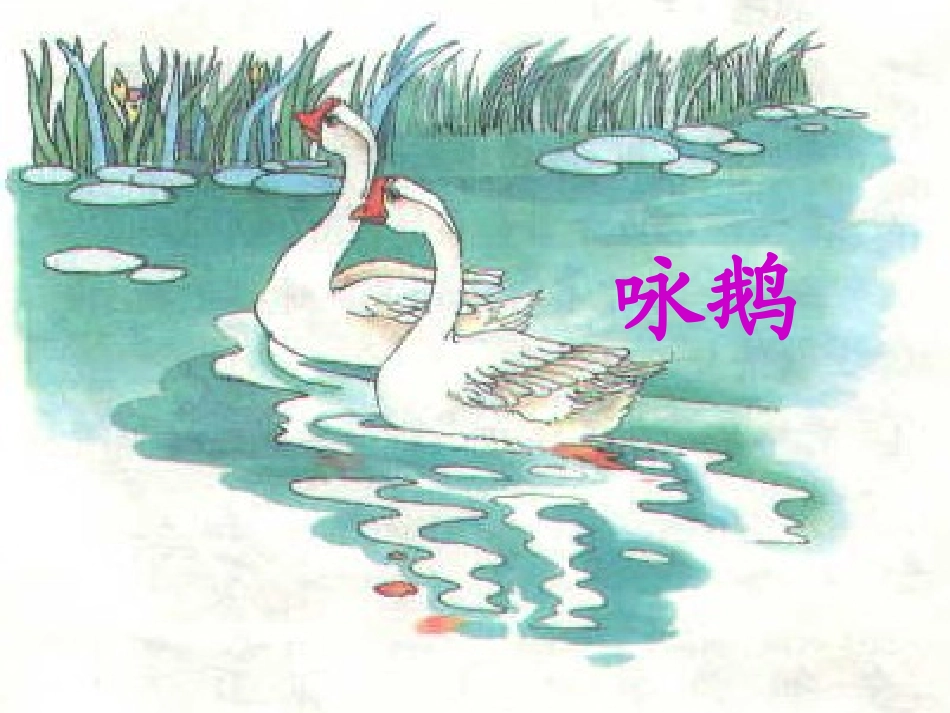 《咏鹅》课件2_第1页