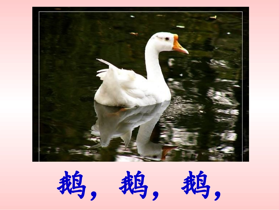 《咏鹅》课件2_第3页