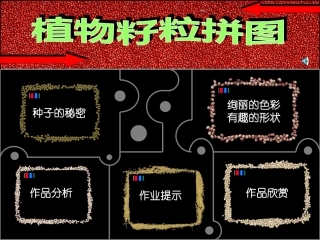 《植物籽粒拼图》课件