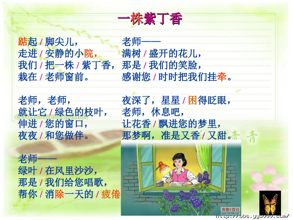 一株紫丁香 _第3页