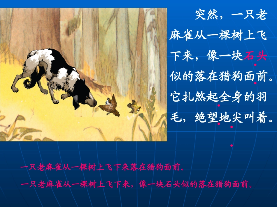 《麻雀》课件3ppt._第3页