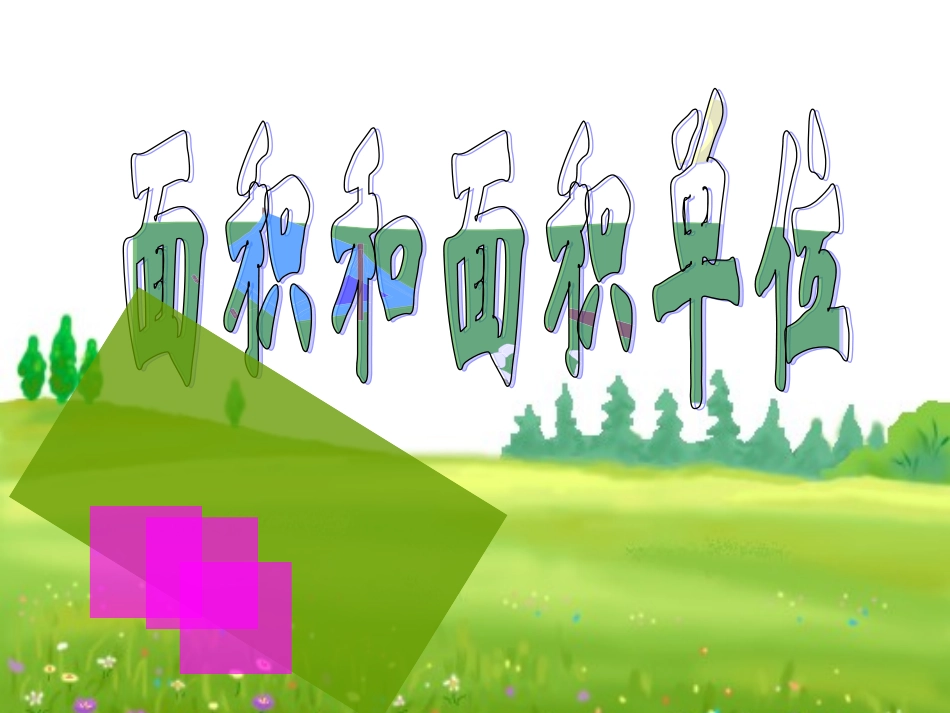 《面积》PPT课件_第1页