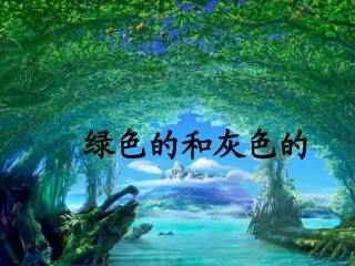 25-绿色的和灰色的